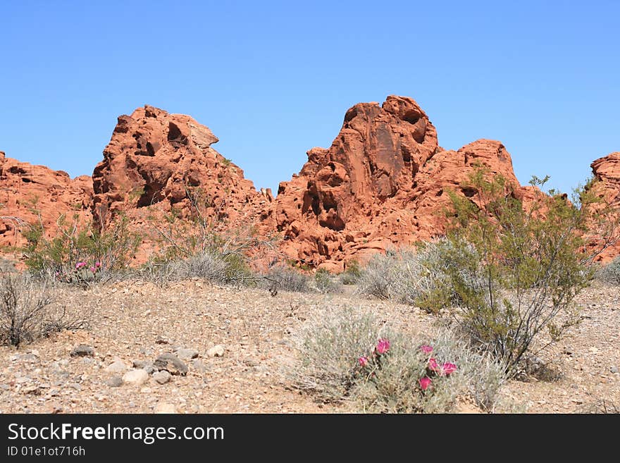 Valley Of Fire, Nevada