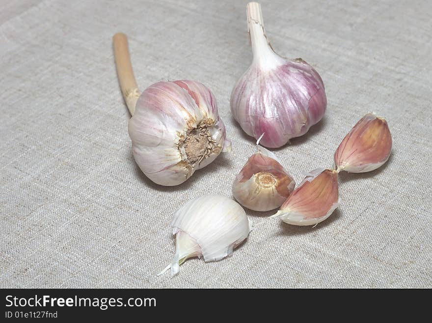 Garlic Close Up on canvas