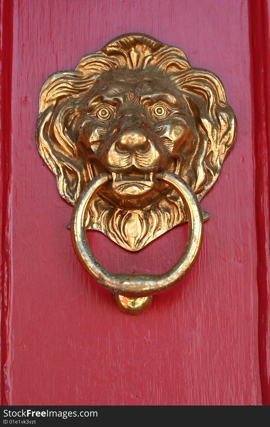 A Brass lion door knocker