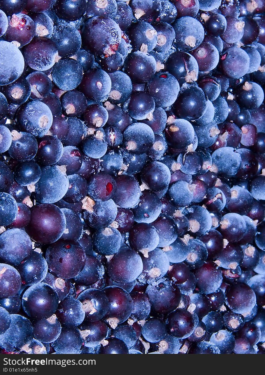 Currant berries frozen