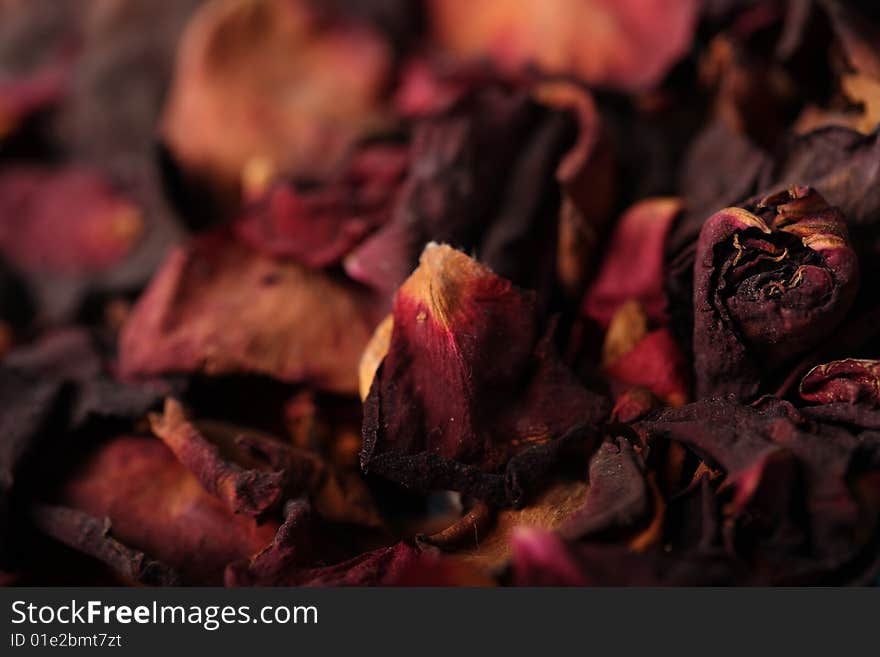 Dry petals rose background texture. Dry petals rose background texture