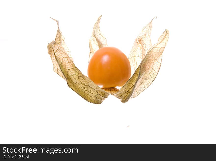 Phillis fruit isolated on white.