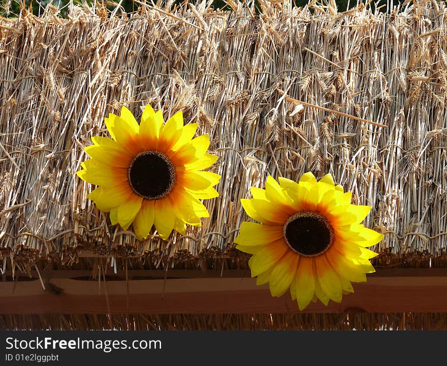 Thatched Roof Decorated With Sunflowers