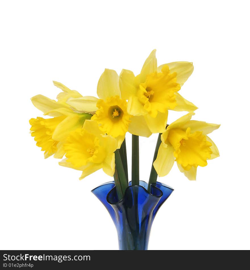 Closeup of a bunch of daffodils in a blue vase