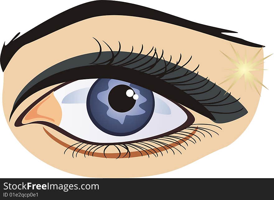 Female eye on the white background. Vector illustration