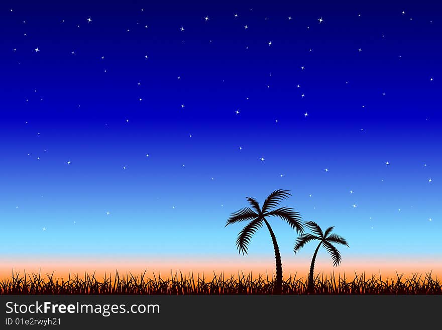 Vector illustration of Tropical Night