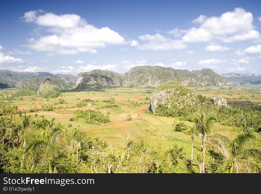 Caribbean Landscape