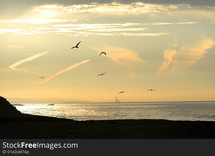 Sunrise over the beach with seagulls flying off shore