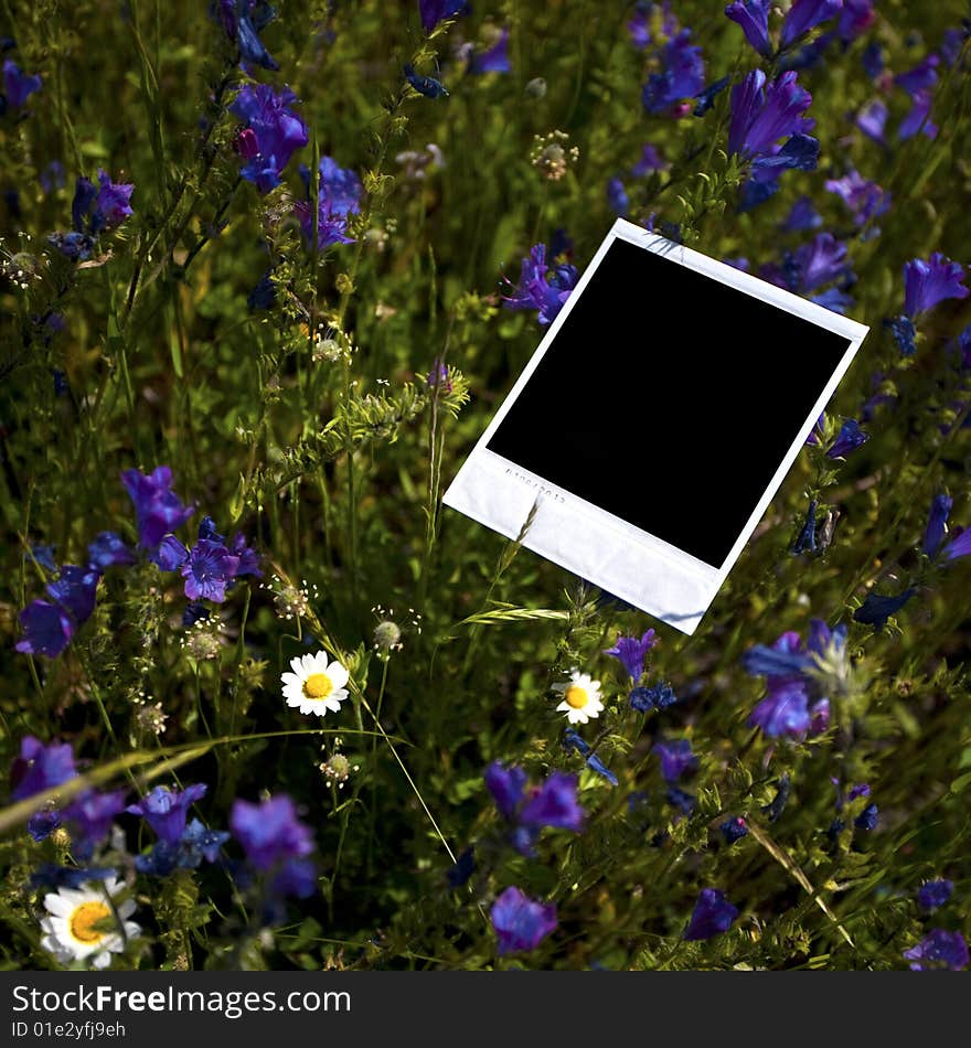 Instant photo frame in grass background