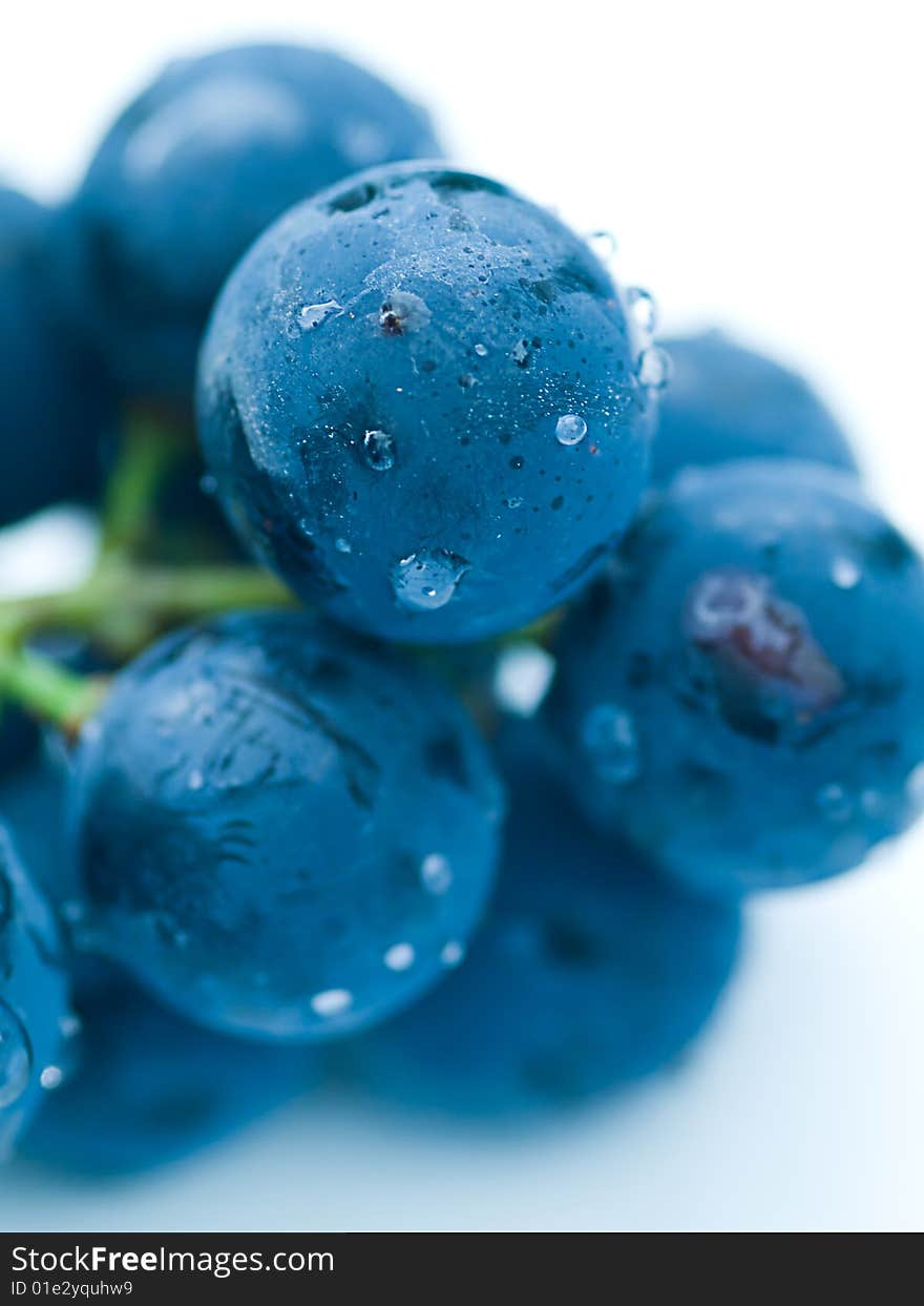 Fresh grapes against a white background. Fresh grapes against a white background.