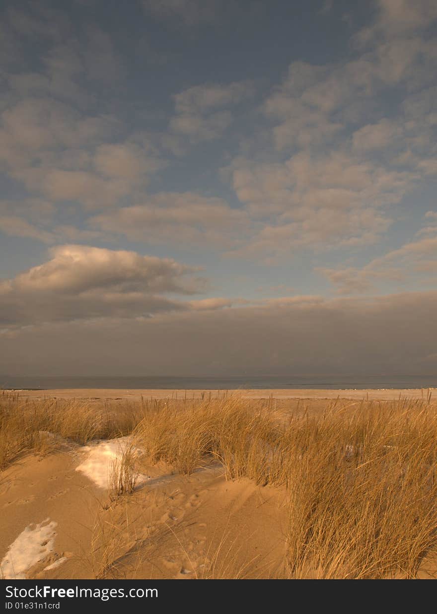 Sand dune on beach