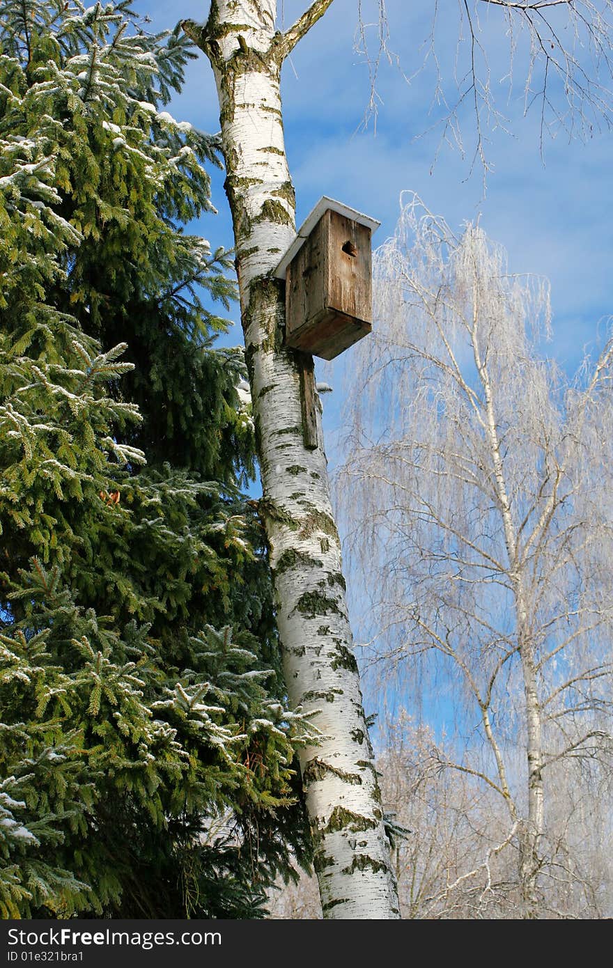 Starling house