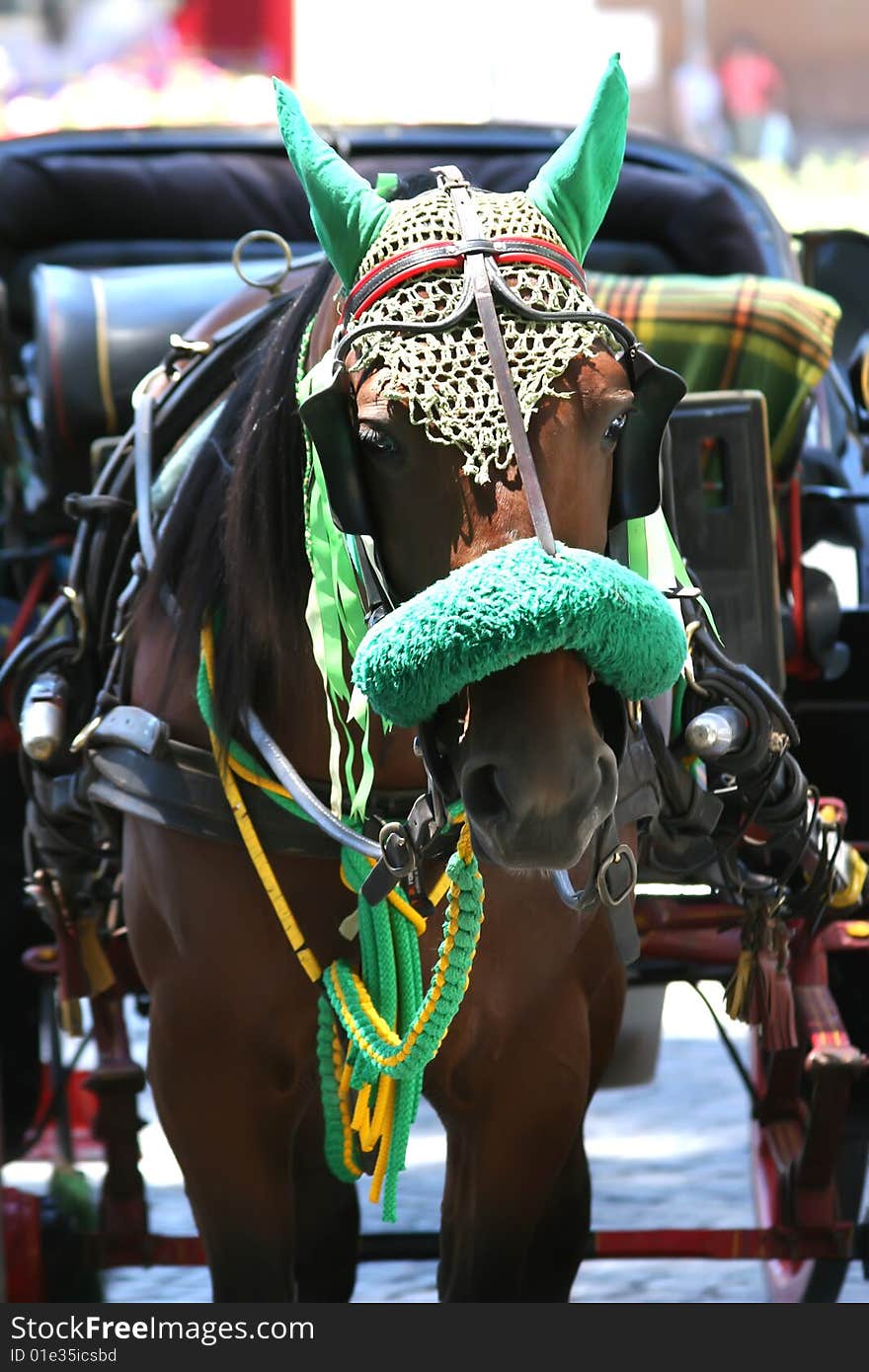 Horse and Buggy