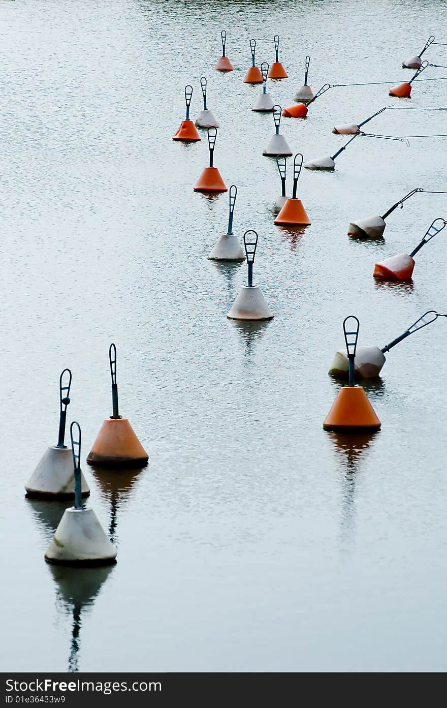 Serene scene with red and white buoys