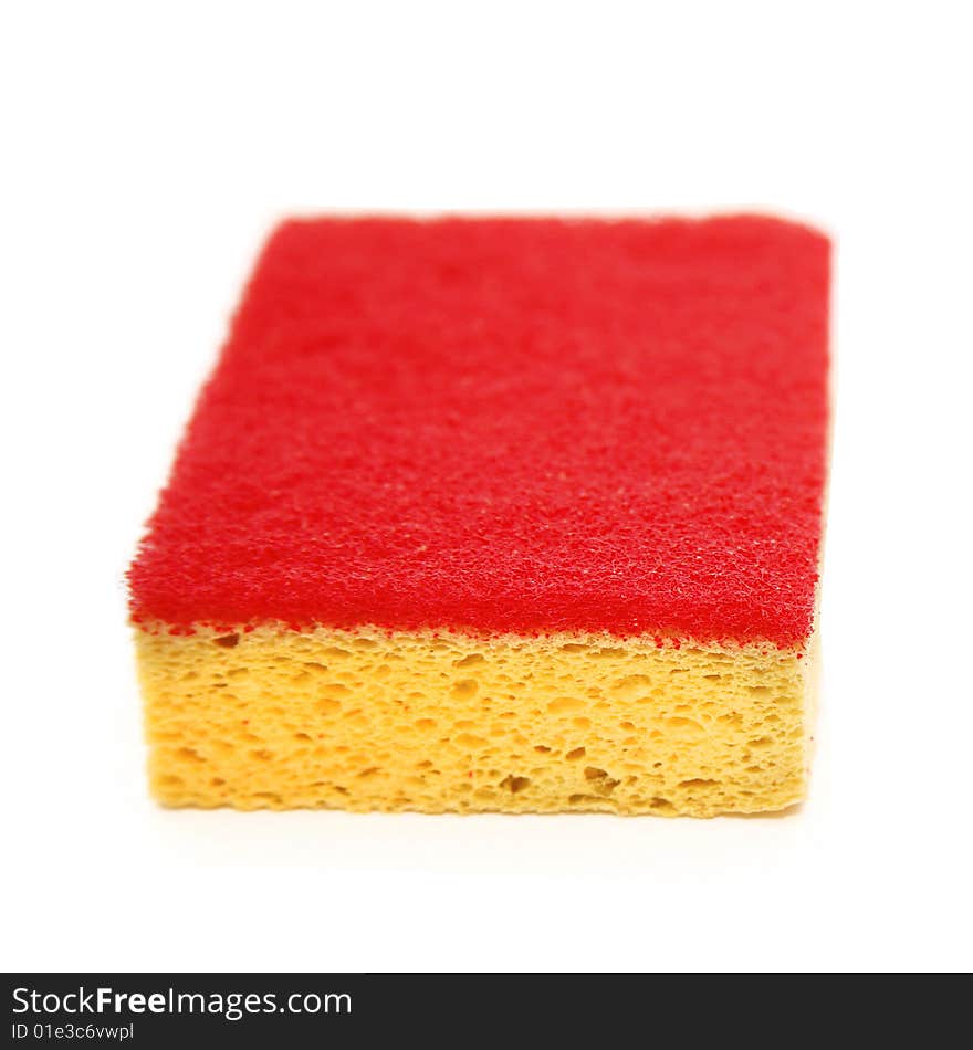 Sponge