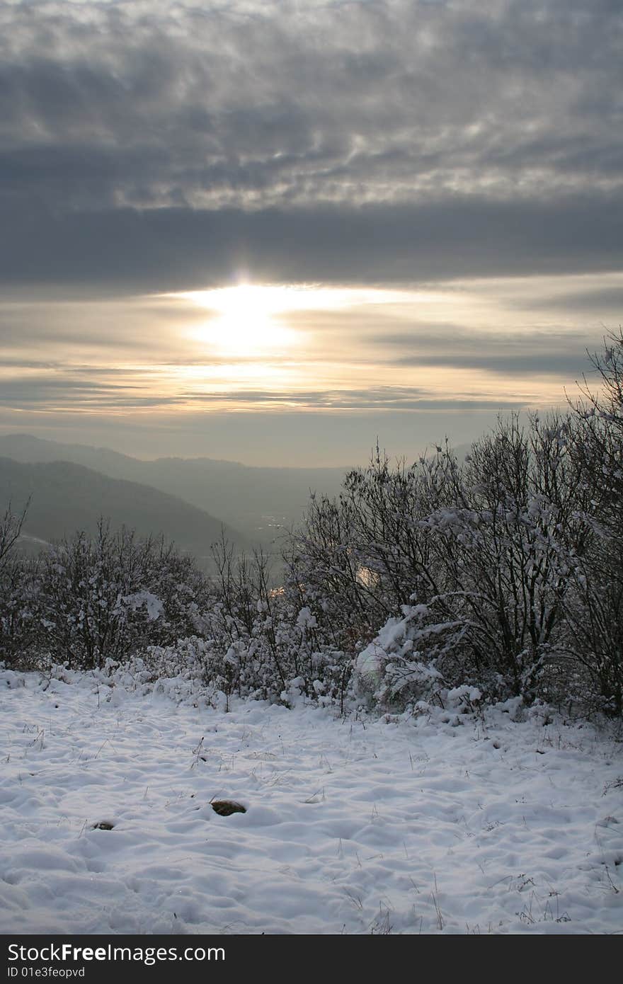 Winter Landscape