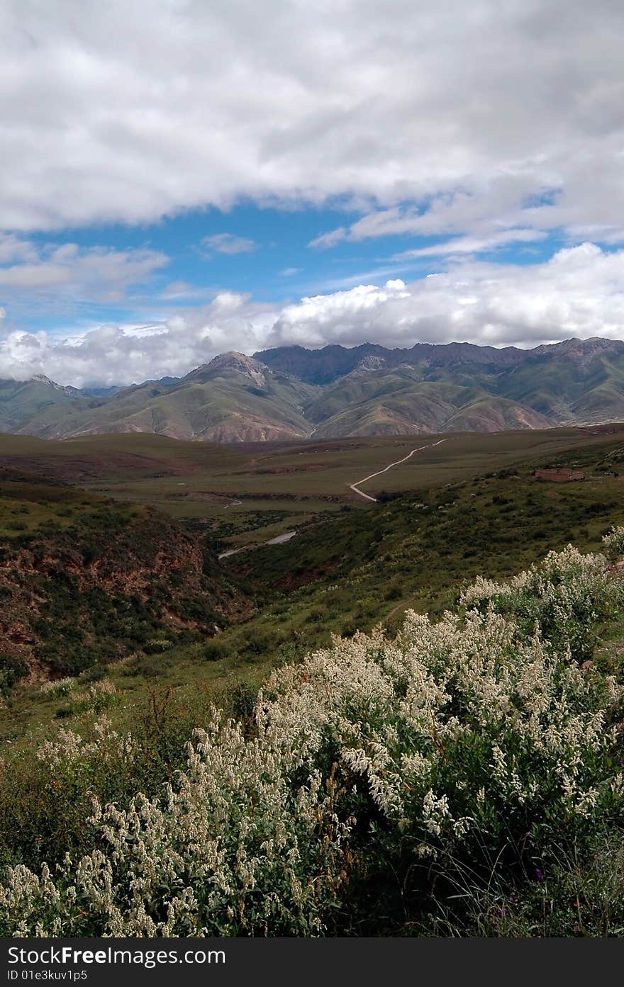 A road Through the plateau. A road Through the plateau