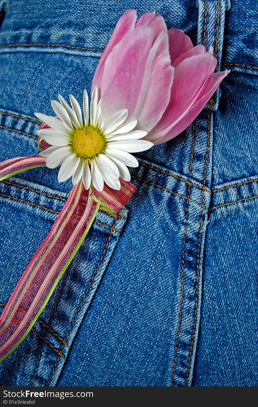 Spring tulip and daisy in a blue jean pocket. Spring tulip and daisy in a blue jean pocket.