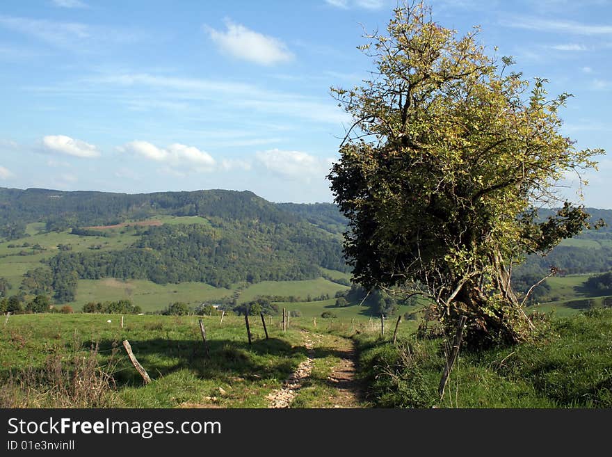 French rural landscape