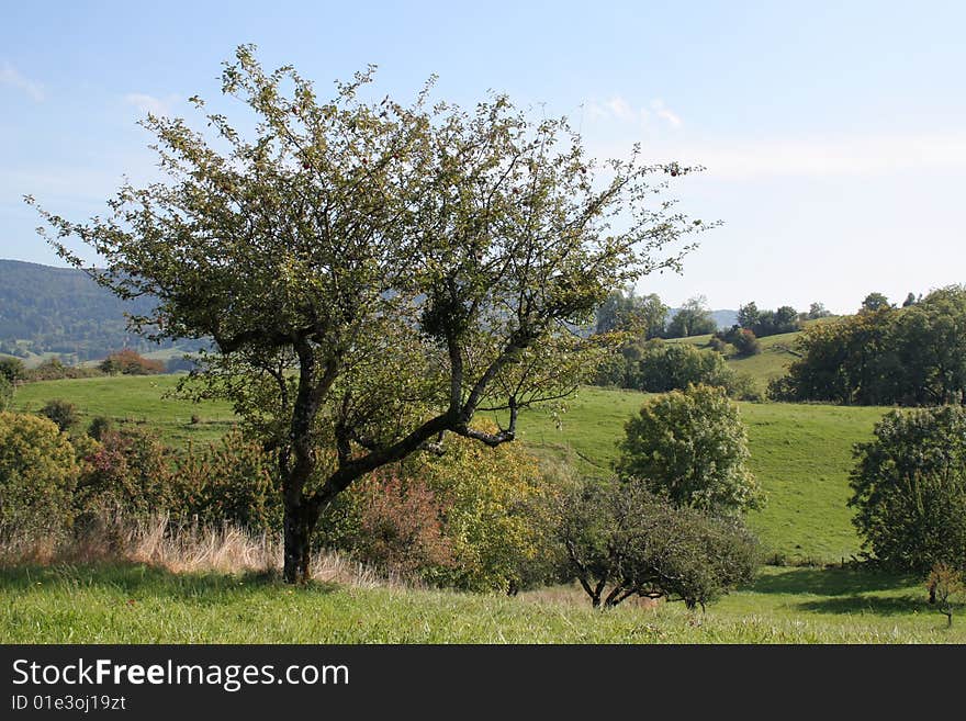 French rural landscape