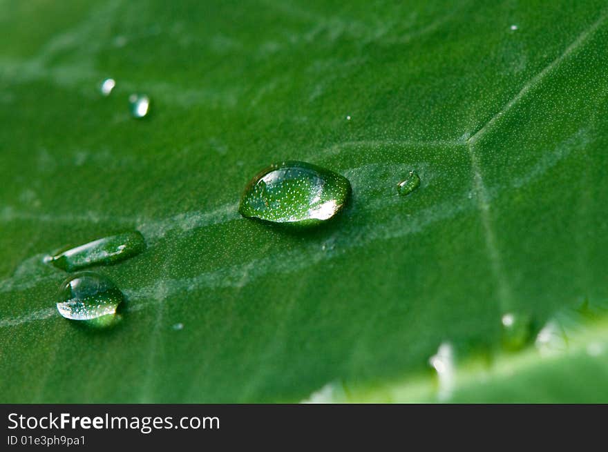 Nice droplet of water on a leaf. Nice droplet of water on a leaf