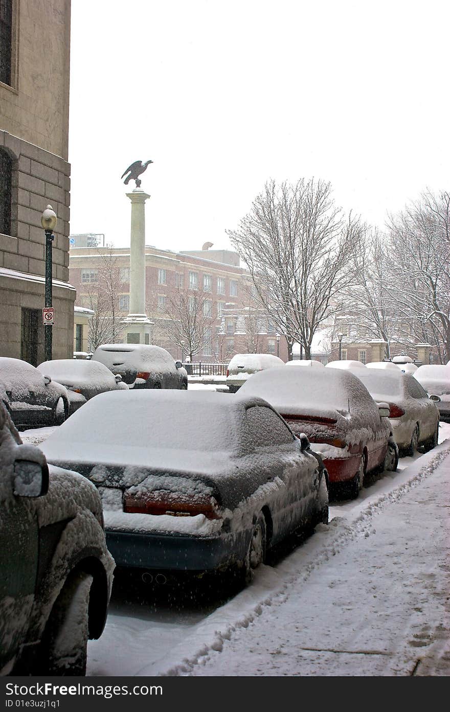 Snow Covered Cars