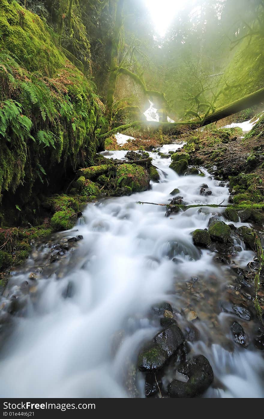 A beautiful mountain stream in early morning of a foggy day. A beautiful mountain stream in early morning of a foggy day