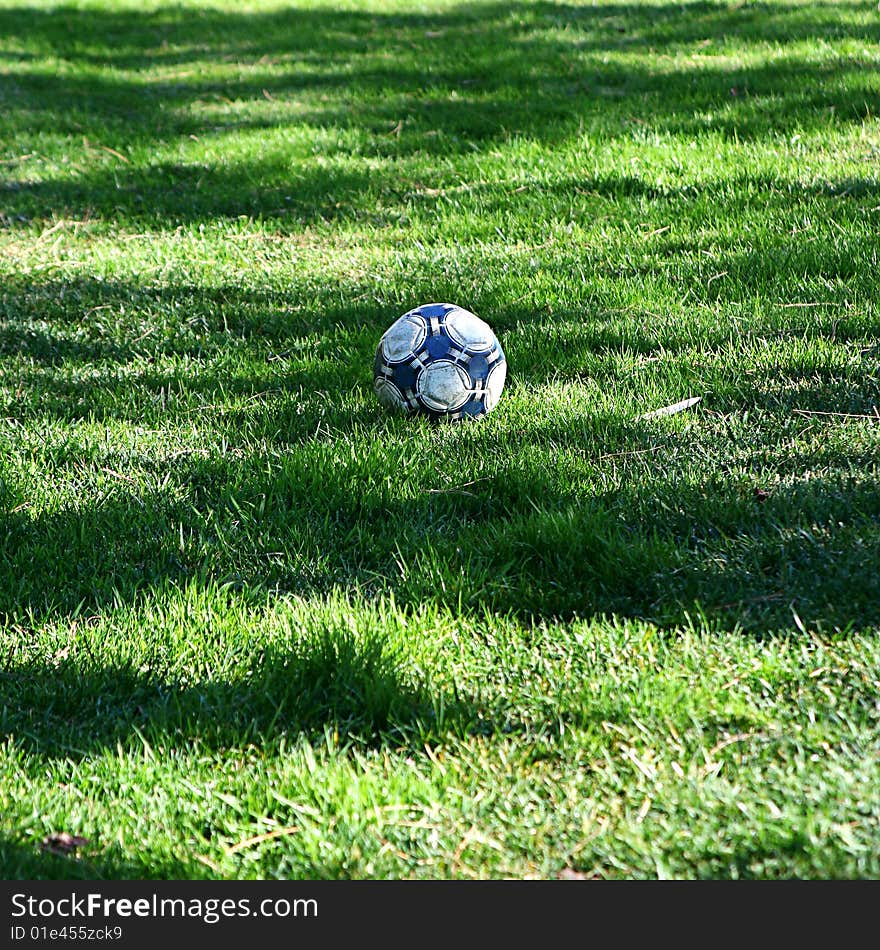 Blue ball in green grass background. Blue ball in green grass background