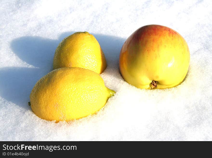 Fruits lays on snow background.