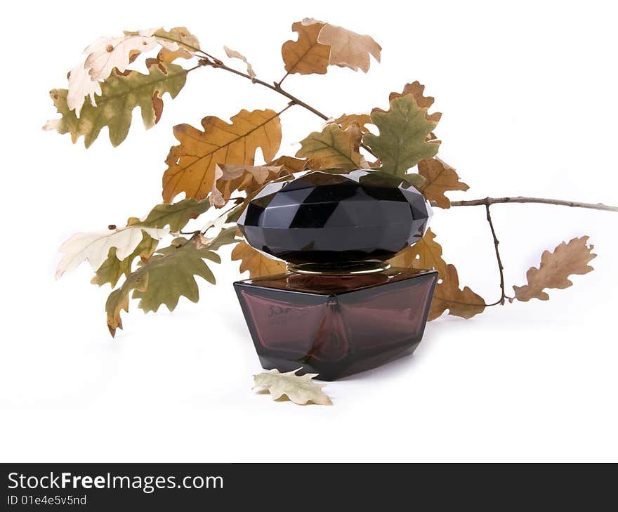 Perfume with dry leafs on a white background