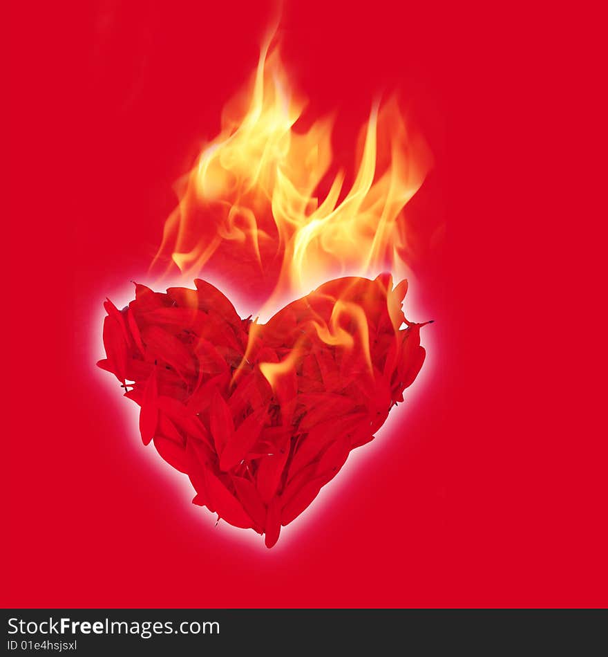 Heart shape from petals with fire on red background. Heart shape from petals with fire on red background