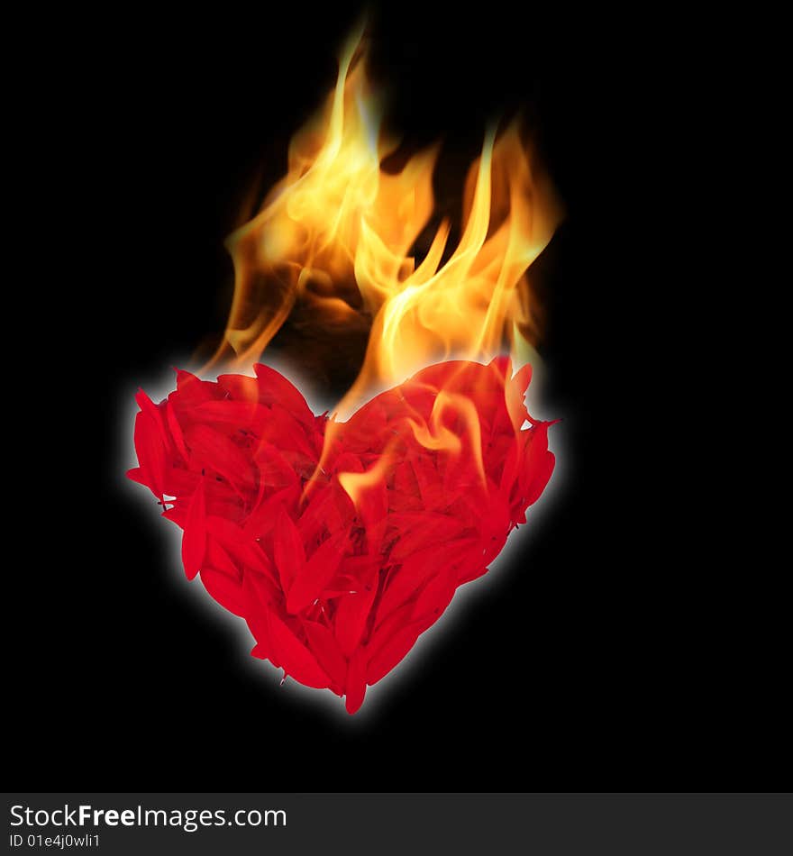 Heart shape from petals with fire on black background. Heart shape from petals with fire on black background