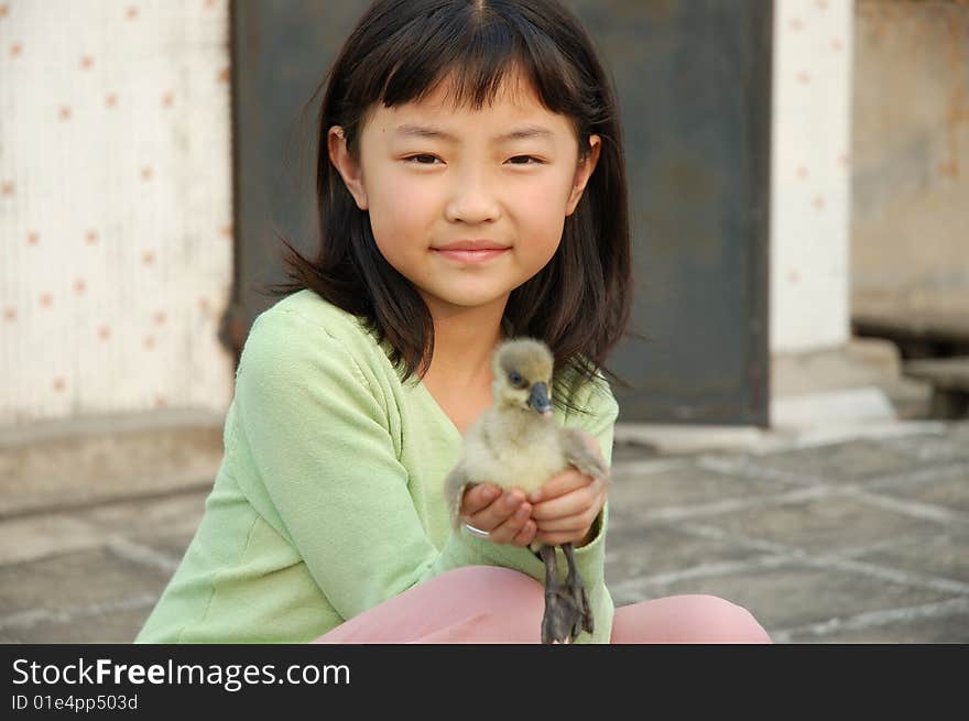 Girl play with Goose