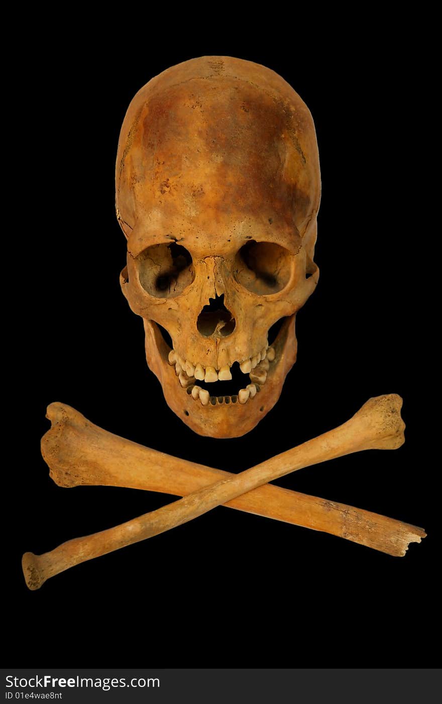 Old prehistoric human skull isolated over black