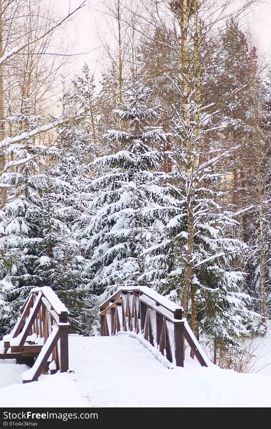 Foot-bridge on winter background