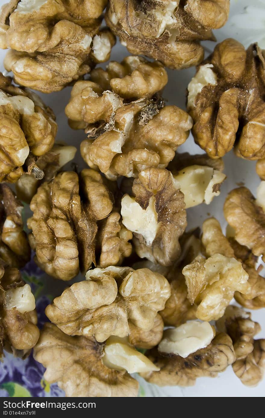 Group walnuts in brown pod without nutshell