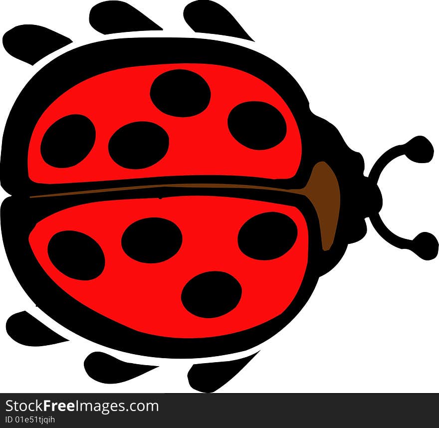 Vector illustrated cartoon ladybird on white background