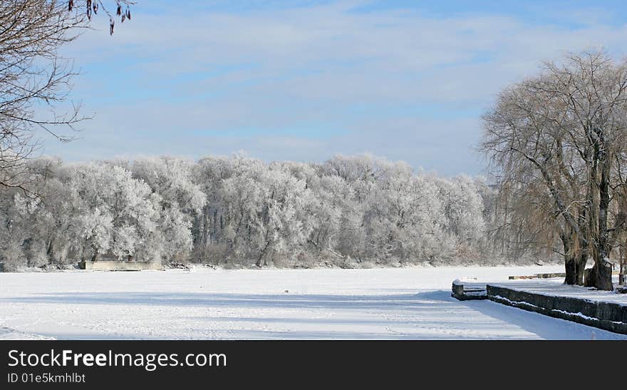 Winter trees covered with hoarfrost