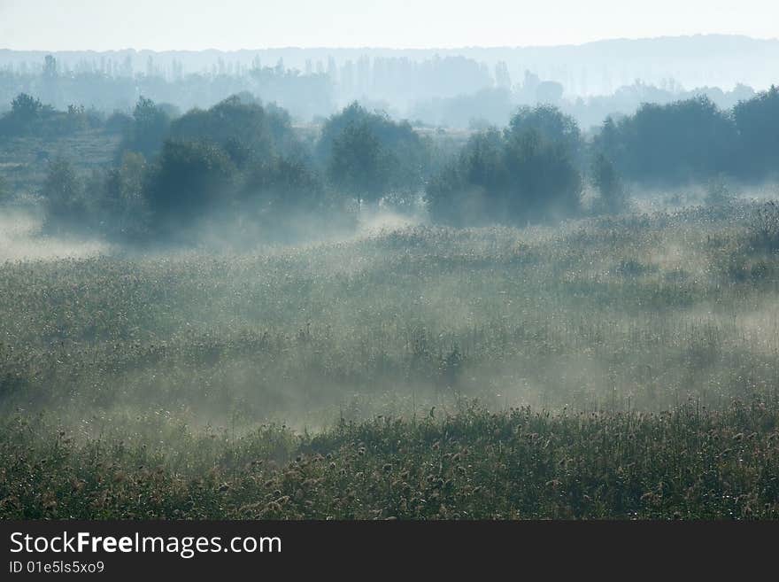 Morning fog on a marge of a wood