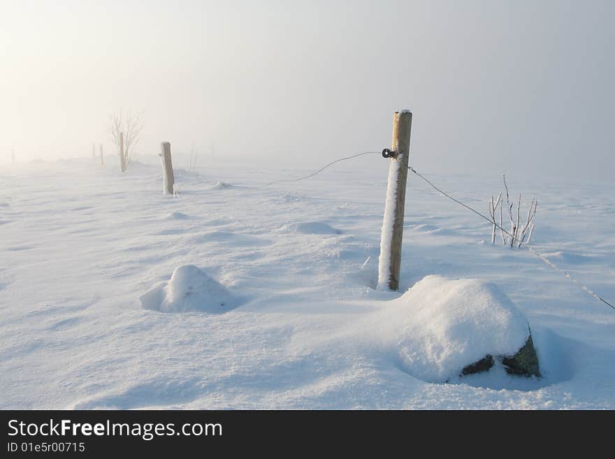 Sun In The Fog