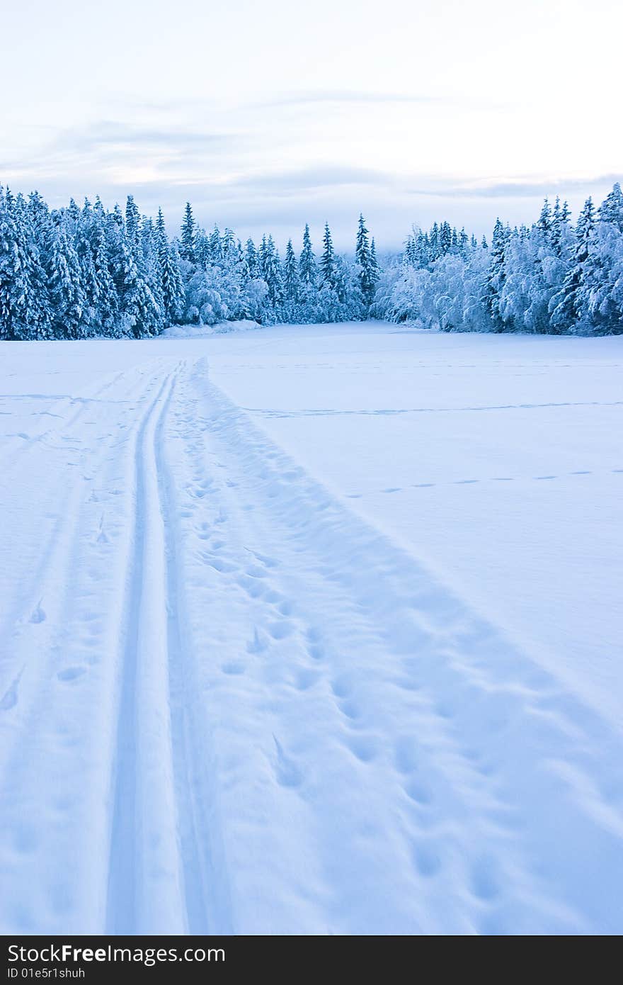 Empty skiing tracks across a snowy field in Norway. Empty skiing tracks across a snowy field in Norway