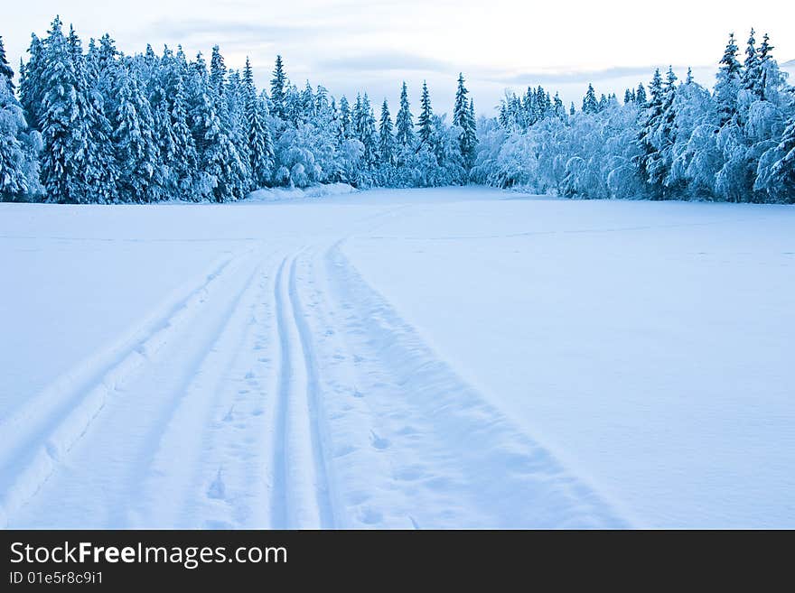 Empty skiing tracks across a snowy field in Norway. Empty skiing tracks across a snowy field in Norway