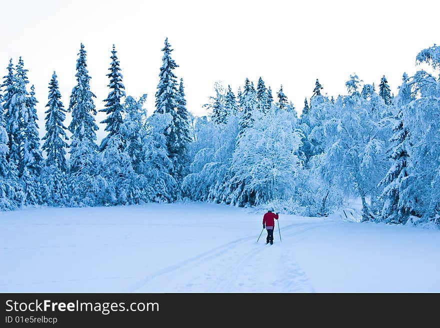 A lone skier in a snow-covered landscape, Norway. A lone skier in a snow-covered landscape, Norway