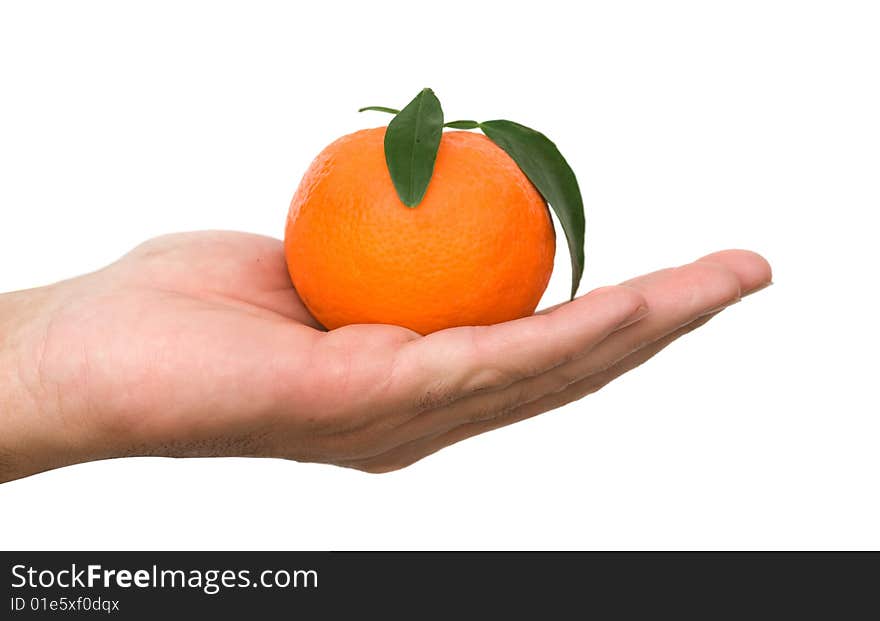 Close up of hand holding ripe tangerine. Close up of hand holding ripe tangerine