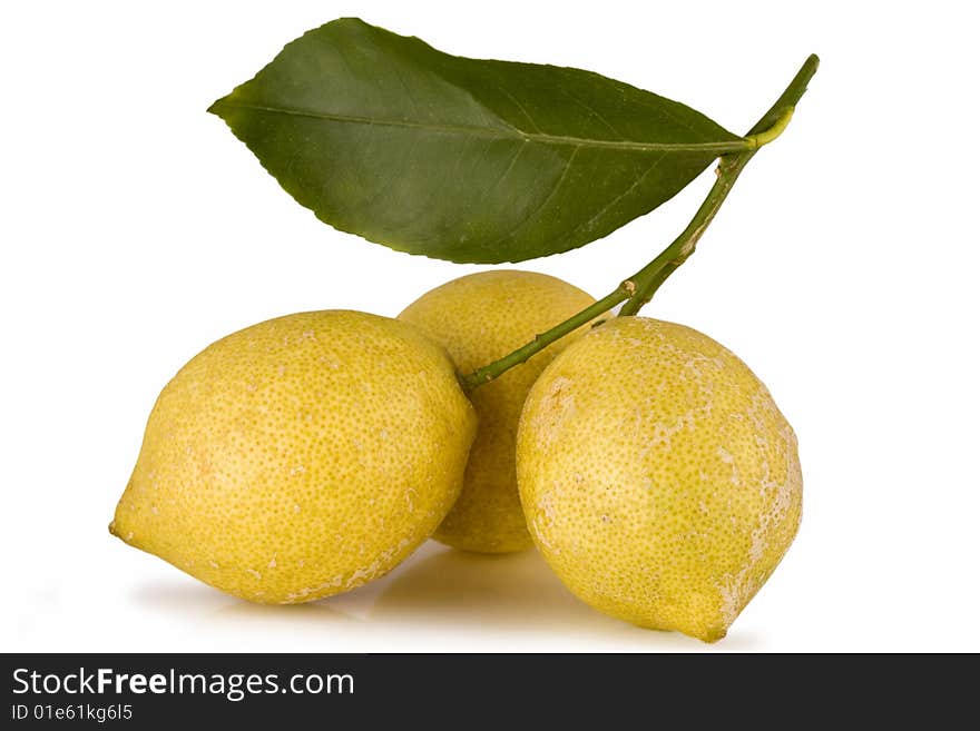 Fresh lemon with leaves isolated on white background