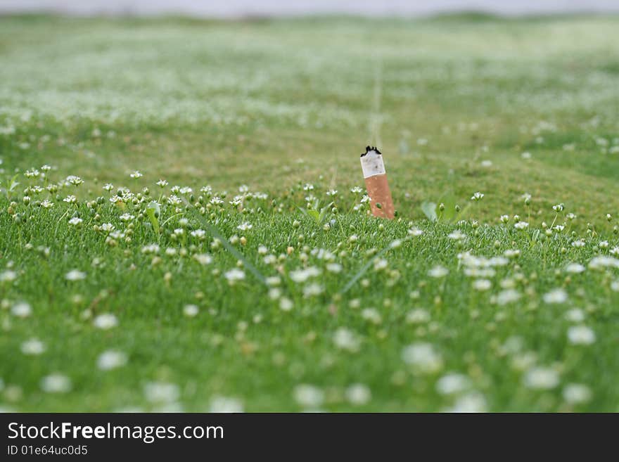 Cigarrete vs Nature