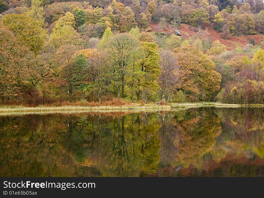 Autumn Colours