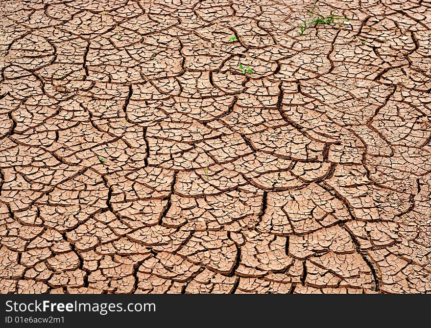 Dry soil with very sparse grass. Dry soil with very sparse grass