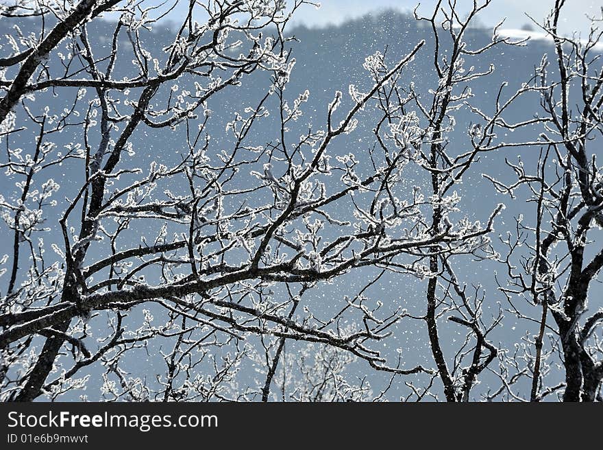 Snow detail at the north