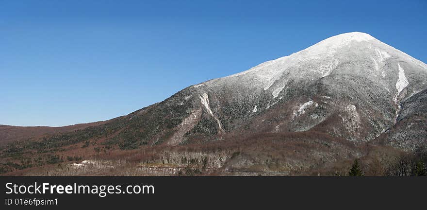 Winter panorama